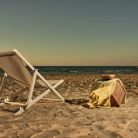 Maritimus Excelsior * Alikész